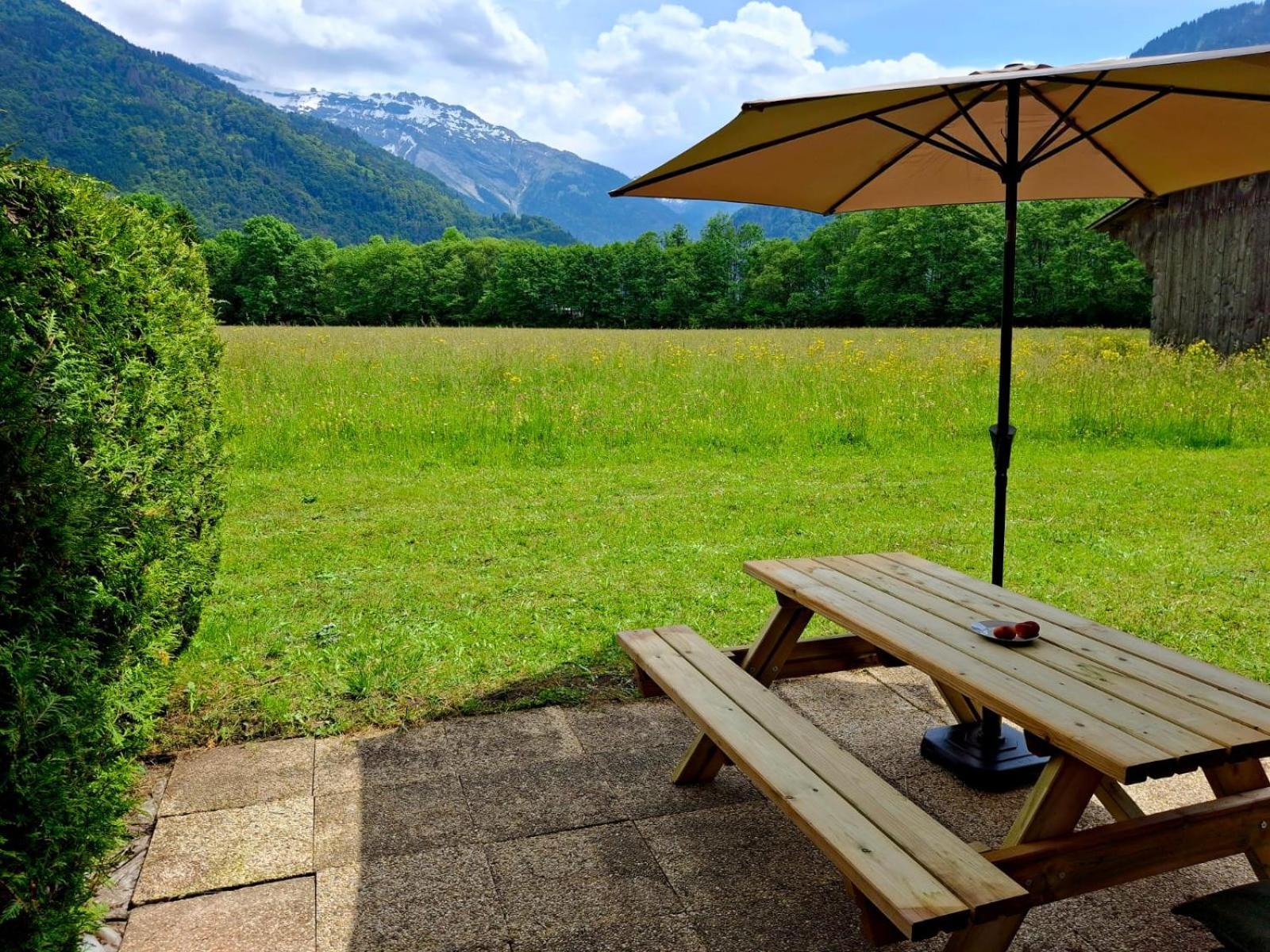 Appartement Renove T2, Vue Montagne サモエンヌ エクステリア 写真